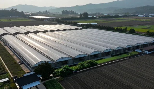 淄博网站设计如何影响企业信息更新